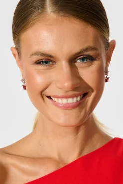 Fashion Elise Drop Earrings in Silver with Pink And Red Stones Jewellery
