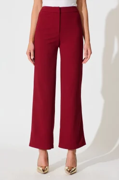 Online Executive Edge Pant in Wine Bottoms|Pants