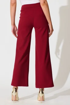 Online Executive Edge Pant in Wine Bottoms|Pants