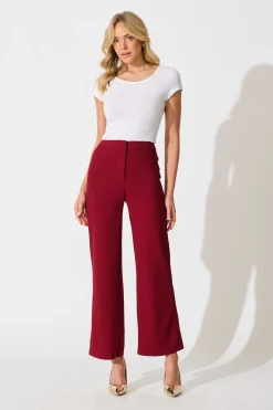 Online Executive Edge Pant in Wine Bottoms|Pants