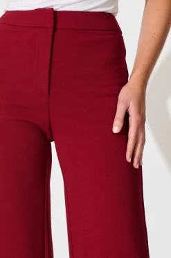 Online Executive Edge Pant in Wine Bottoms|Pants
