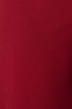 Online Executive Edge Pant in Wine Bottoms|Pants